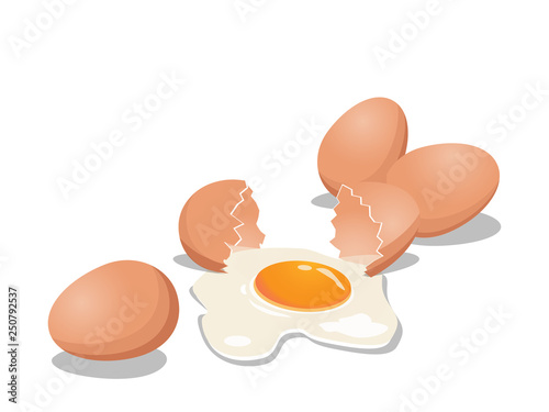 A group of fresh chicken eggs with cracked eggs on white color background. Vector illustration.