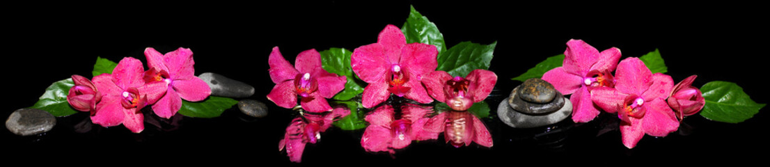 Plexiglas schilderij Spa Paarse orchideeën op zwarte achtergrond  © markasia