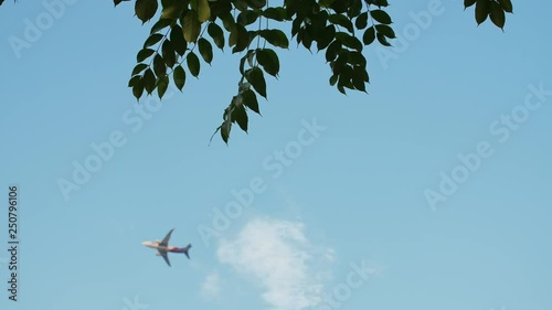 Airplane taking off against the background of hanging tree branches in Indonesia. photo