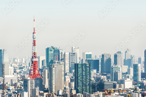 Photography city skyline aerial view of tokyo tower in Japan
