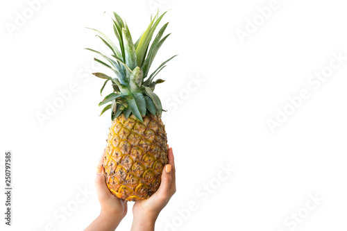 Female hands holding up an entire fresh pineapple isolated on pure white background. Pineapple on white background.