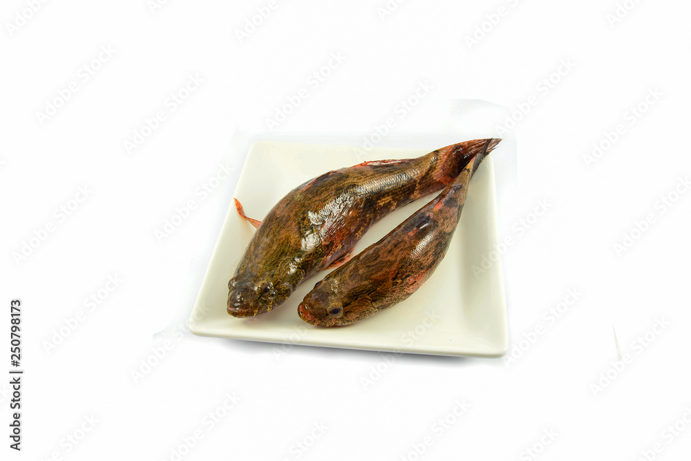 Fresh goby river fish freshwater isolated on white background Fresh goby river fish freshwater isolated on white background