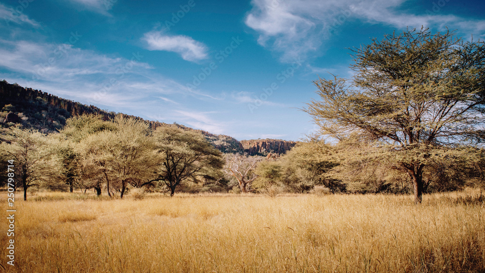 Blick über das Gras auf das Waterberg Plateau in der Abendsonne, Namibia Blick über das Gras auf das Waterberg Plateau in der Abendsonne, Namibia