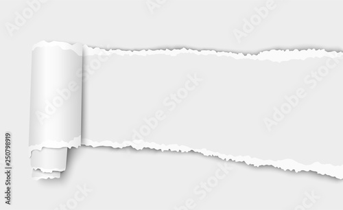 Vector white torn wisp of paper with curl and shadow placed on white background