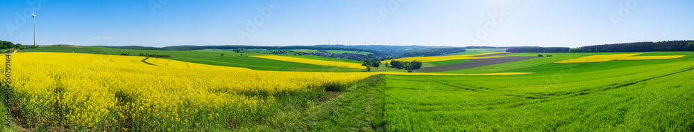 Panorama der Taunuslandschaft mit blühendem Rapsfeld