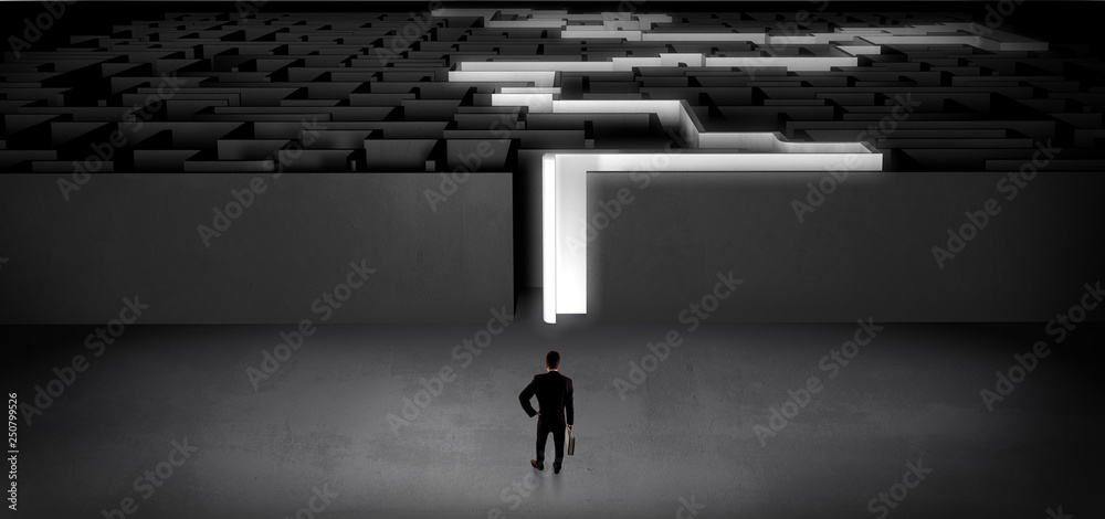 Businessman getting ready to enter the dark labyrinth with stated road concept
Businessman getting ready to enter the dark labyrinth with stated road concept