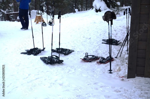 Laponie finlandaise : Balade en raquettes dans la forêt autour de Levi