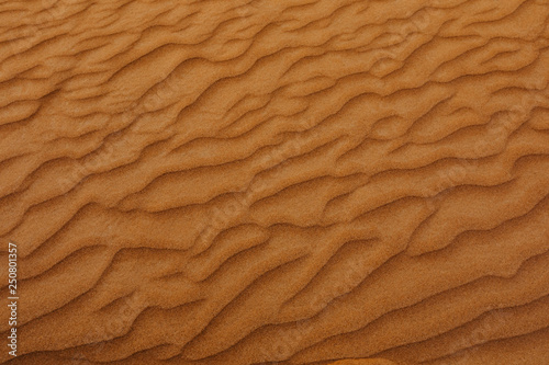  desert texture background - Image