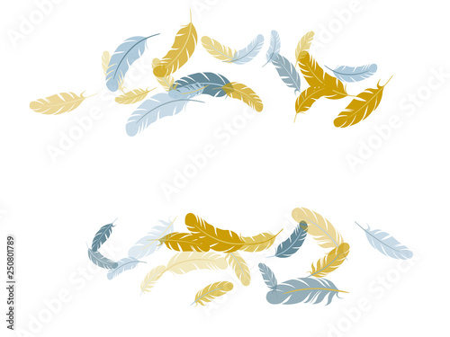 Falling feather elements soft vector design.