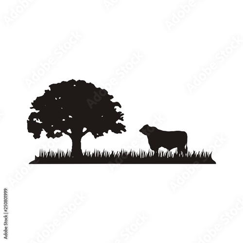Cattle Angus & Grass silhouette