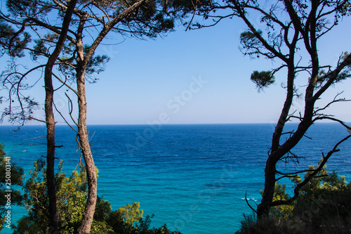 Fototapeta Naklejka Na Ścianę i Meble -  trees in background sea