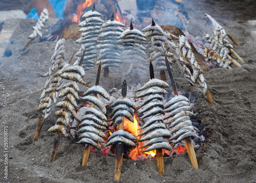 Fototapeta Naklejka Na Ścianę i Meble -  Traditional sardine specimens in Malaga. Spain