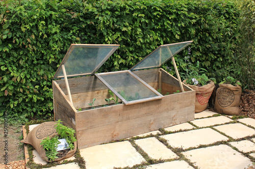 Chassis en bois pour semis au jardin