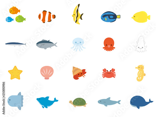 海の生き物 魚セット1