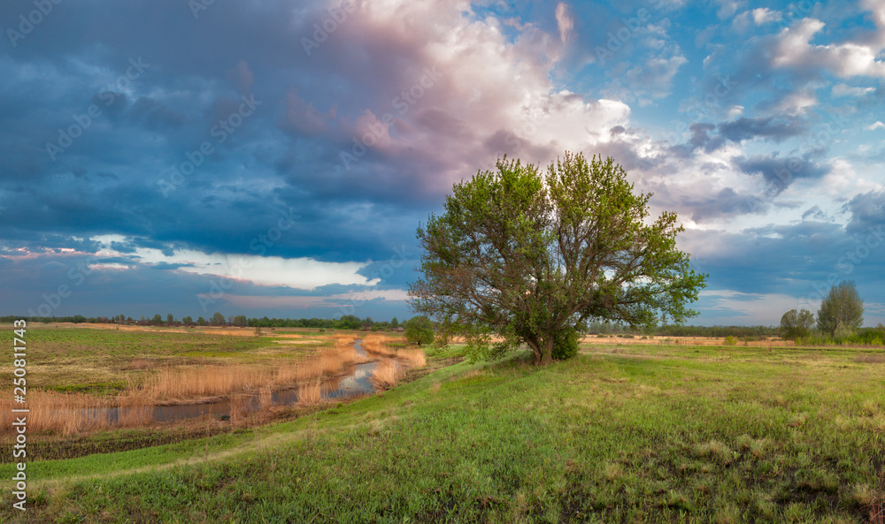 landscape with green field and blue sky