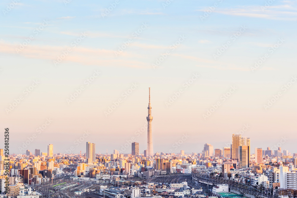 city skyline night aerial view in Tokyo, Japan