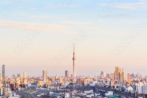 city skyline night aerial view in Tokyo, Japan © voyata