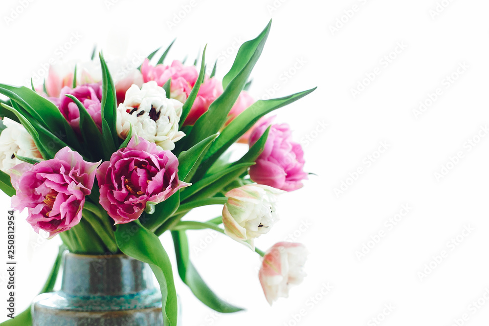 Obraz premium Beautiful double peony tulips in light. Colorful pink and purple tulips on white with copy space. Happy mothers day. International women's day. Hello Spring. Greeting card mockup