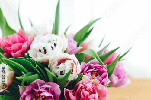 Beautiful double peony tulips in light. Colorful pink and purple tulips on white with copy space. Happy mothers day. International women s day. Hello Spring. Greeting card mockup