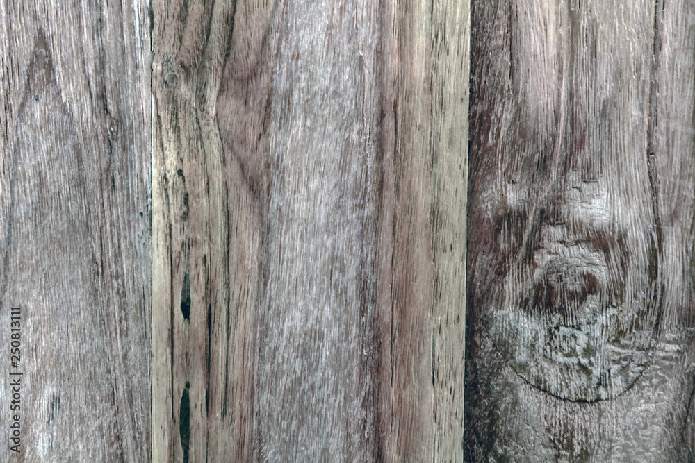 Fototapeta premium wood texture with natural patterns