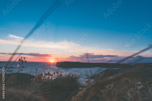 Ausblick von einer Klippe über Gräser auf die Felsenküste und das offene Meer im Sonnenuntergang