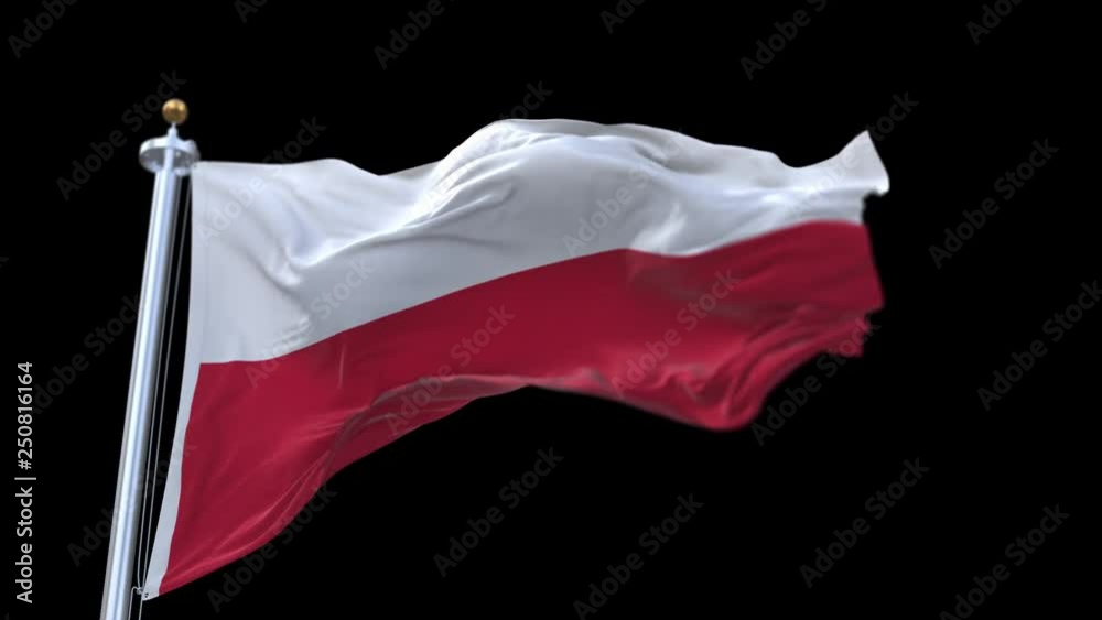 4k seamless poland flag waving in wind.A fully digital rendering;The animation loops at 20 seconds.flag 3D animation with alpha channel included. 4k seamless poland flag waving in wind.A fully digital rendering;The animation loops at 20 seconds.flag 3D animation with alpha channel included.