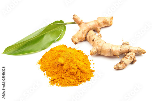 Turmeric powder and fresh turmeric (Curcuma) with green leaf on white background. herbal photo