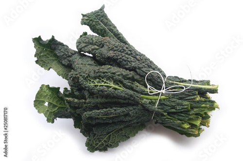 Italian black kale leaves isolated on white background. Brassica oleracea 'Lacinato' vegetable