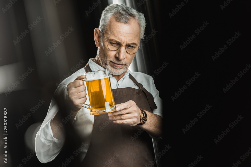 professional brewer looking at glass of beer in brewery professional brewer looking at glass of beer in brewery