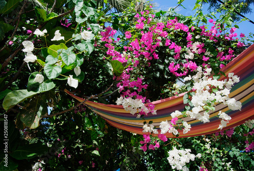 flowers hanging upside down in the alley of the palm bay in Sisi on the mediterranean isle Crete in Greece