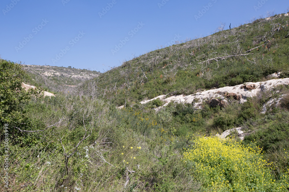 Old abandoned stone quarry on Carmel mountain in Haifa, Israel 
