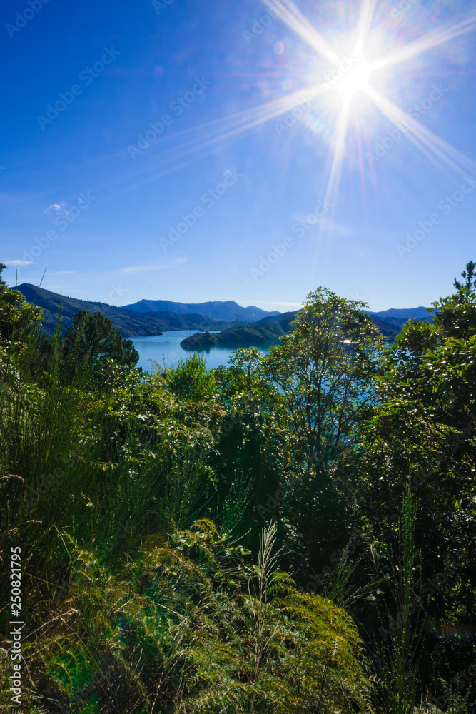 Queen Charlotte Drive