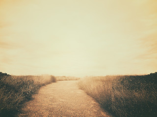 vintage path in nature