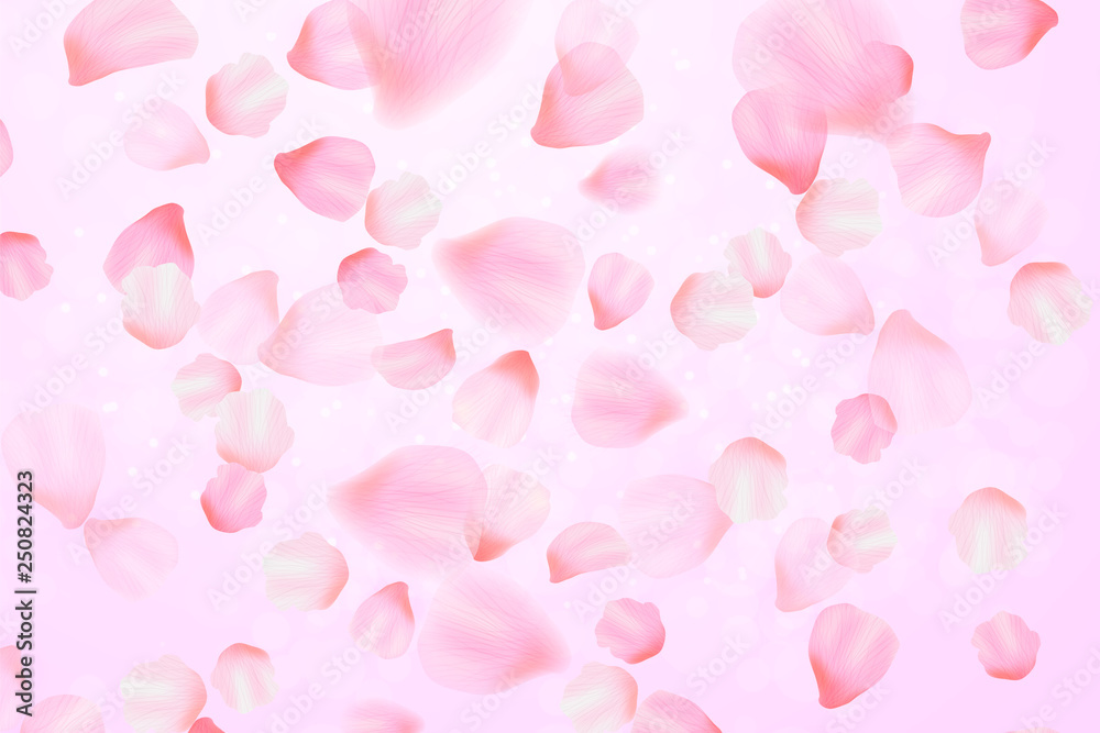 Falling sakura pink blossom Vector illustration. Romantic background