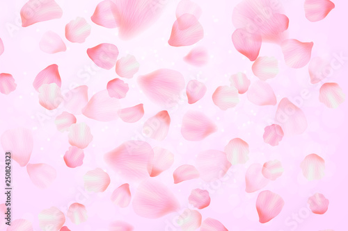 Falling sakura pink blossom Vector illustration. Romantic background