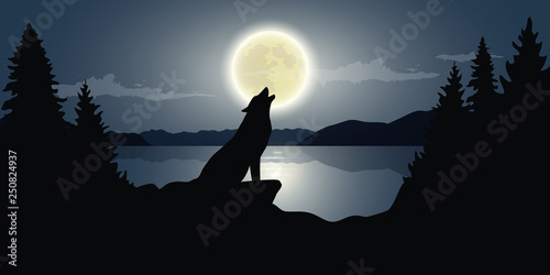 wolf is howling to the full moon by the lake dark night wildlife nature landscape vector illustration EPS10