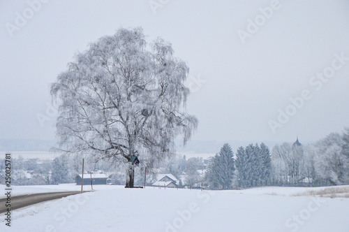 Winter Wonderland in Aying, Bavaria, Germany