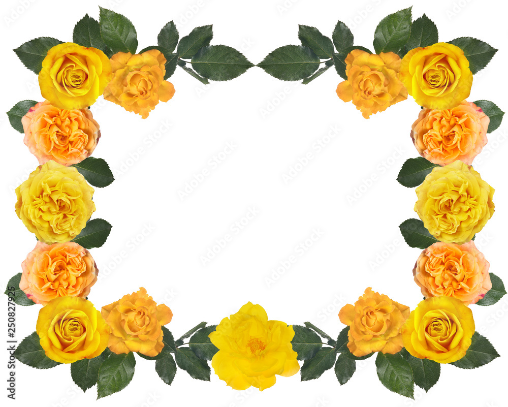 Obraz premium gold rose frame on white background