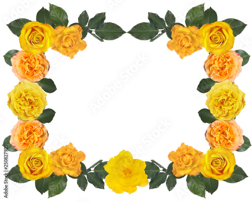 gold rose frame on white background