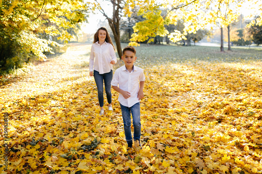Fototapeta premium Mother and son together park