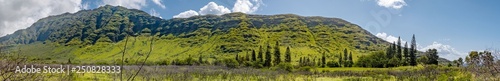 Panoramic view of mountains in Oahu Waianae Kai Forest Reserve © Guy