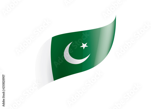 Pakistan flag, vector illustration on a white background