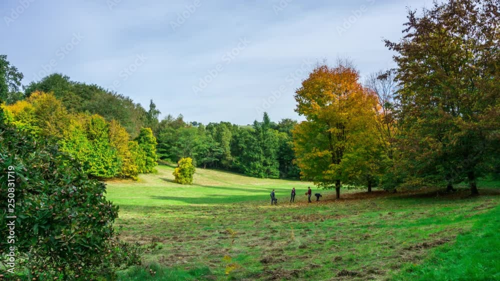 Autumnal landscapes at Winkworth arboretum, in Surrey, England, UK