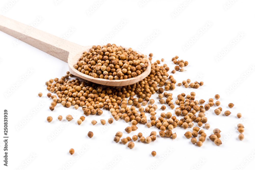coriander seeds in wooden spoon isolated on white background. coriander seeds in wooden spoon isolated on white background.