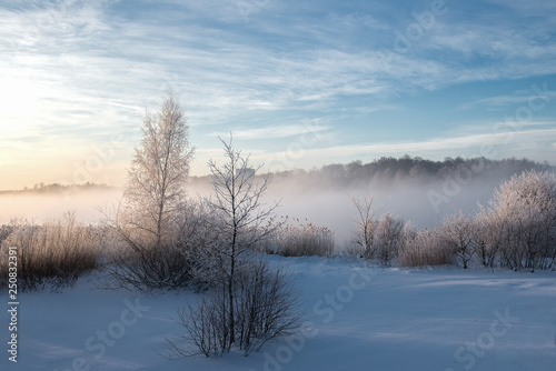 wonderful winter scene. Frosty, misty morning on the small river. frost covered trees in the warm glow of sunrise on the beach. The beauty of the world © Zelma