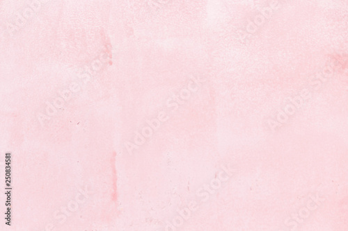 Light pink background. Copy space. PLace for text and design