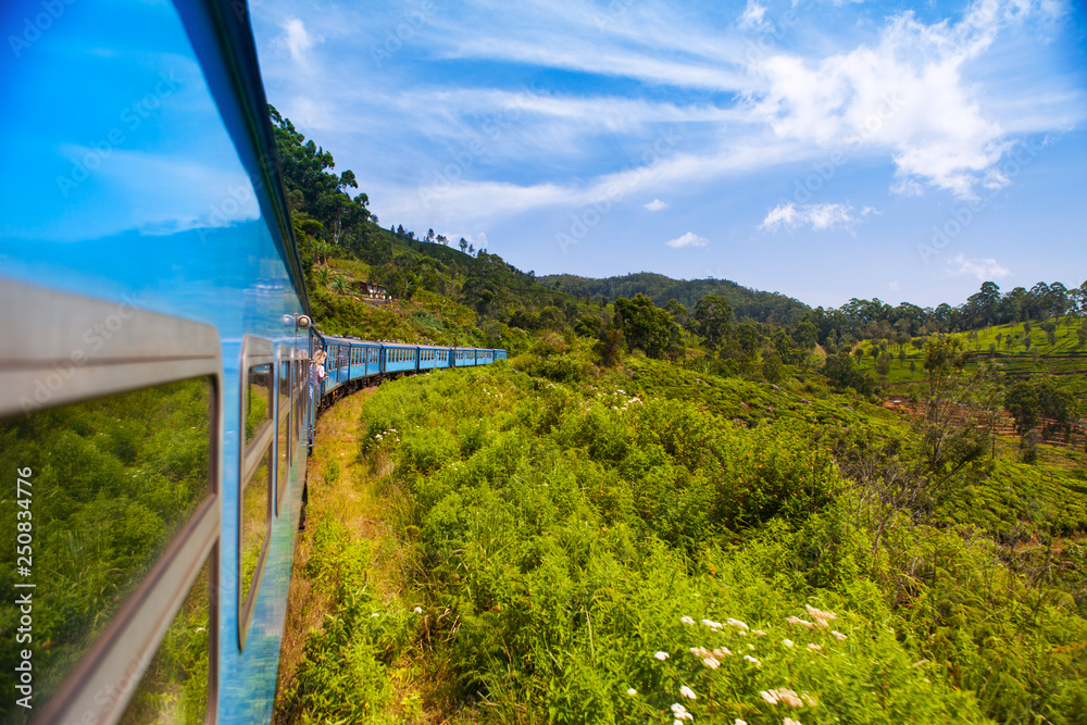 Fototapeta premium riding by train sri lanka