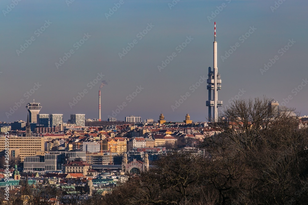 View of the Czech republic capital city, Prague and one of its landmarks, famous tall observation tower at Zizkov, houses, chimney with smoke, horizon in distance, grey evening sky, tree in foreground