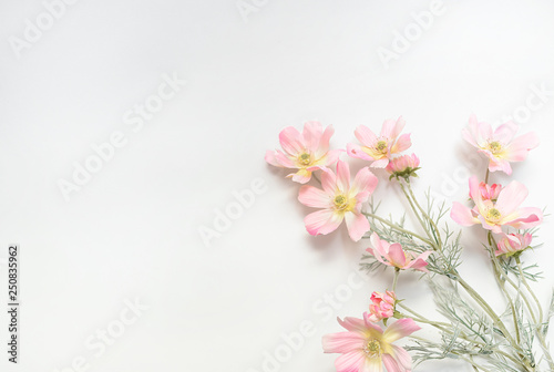 Flowers spring © Elvira