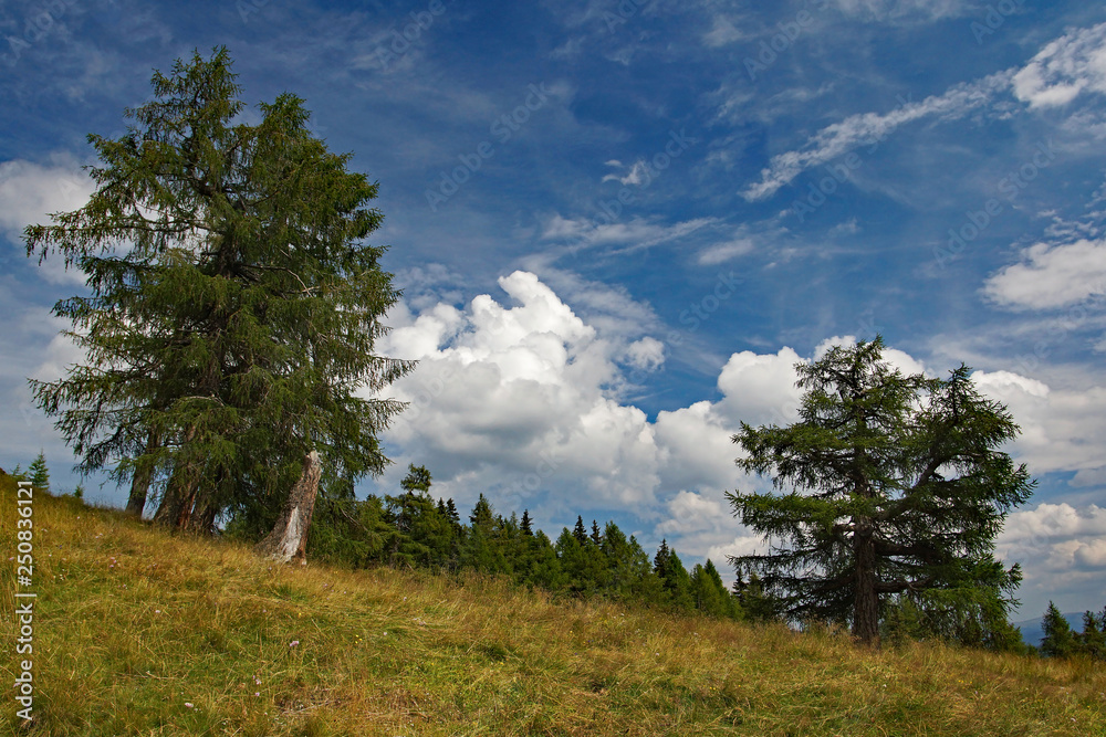 Berglandschaft im steirischen Lachtal - Österreich Berglandschaft im steirischen Lachtal - Österreich